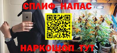 стаф Апшеронск
