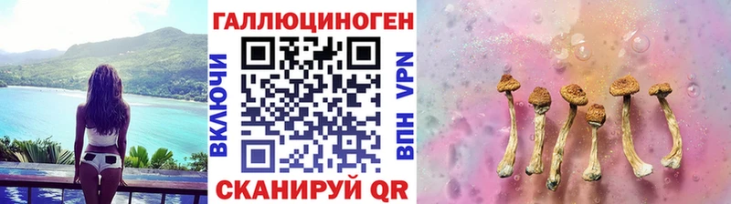 Галлюциногенные грибы Psilocybe  Архангельск 