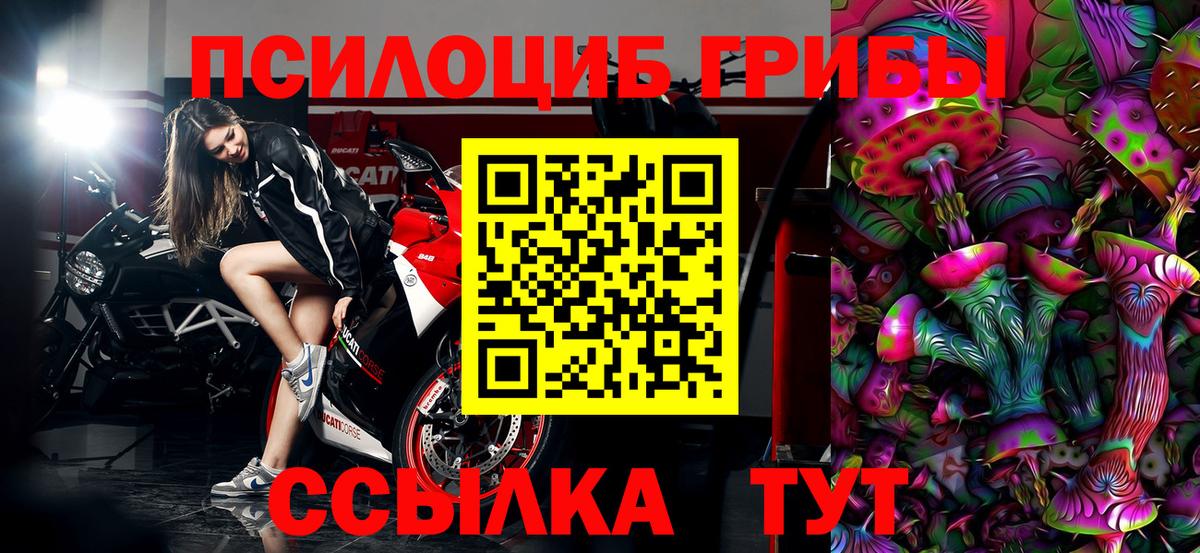 Псилоцибиновые грибы GOLDEN TEACHER Архангельск