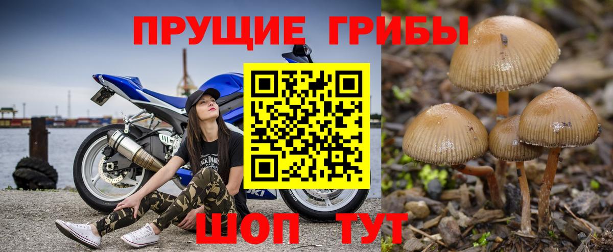 Псилоцибиновые грибы MAGIC MUSHROOMS  Архангельск  Псилоцибиновые грибы MAGIC MUSHROOMS 