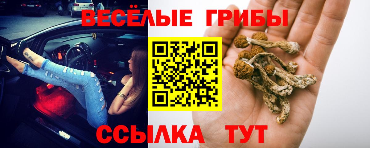 Архангельск  Галлюциногенные грибы ЛСД  Вход с VPN 