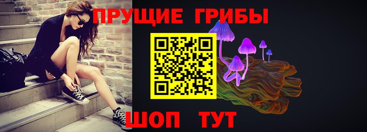 Псилоцибиновые грибы Psilocybine cubensis Архангельск